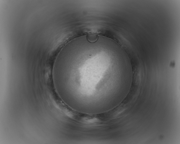 X0000112090747200908111352