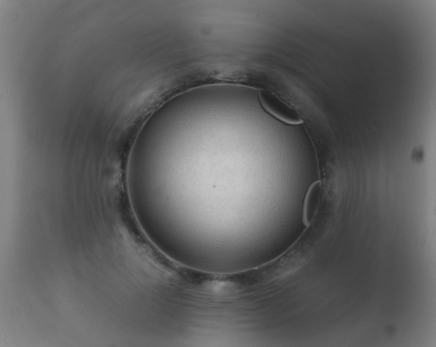 X0000112090748200908111352