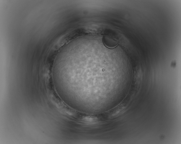 X0000112090749200908111352