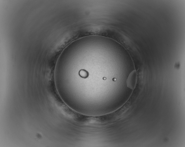 X0000112090750200908111352