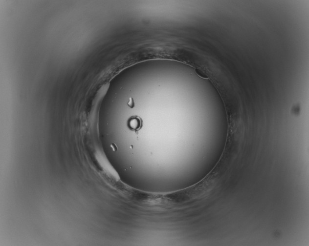 X0000112090752200908111352