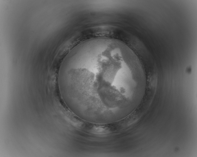 X0000112090753200908111352