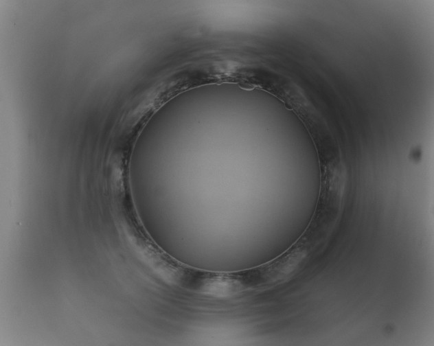 X0000112090754200908111352