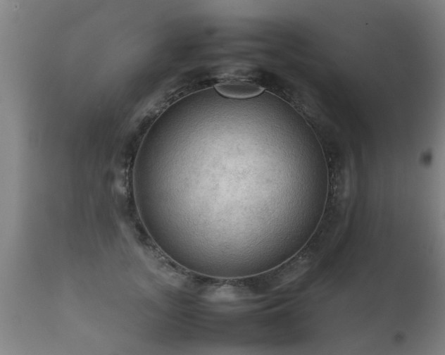 X0000112090755200908111352