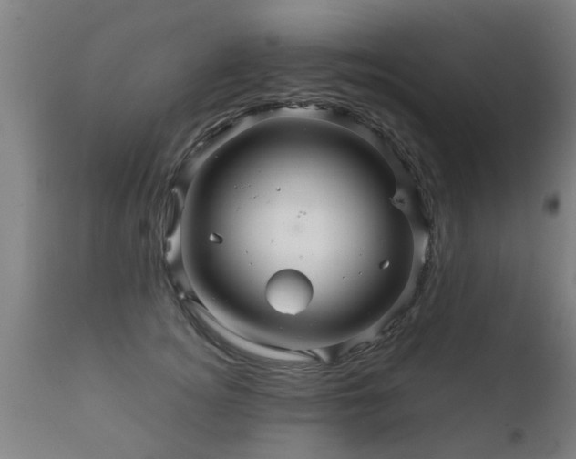 X0000112090756200908111352