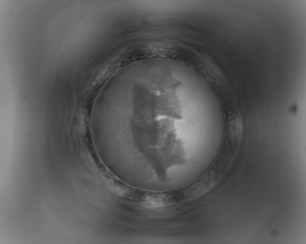 X0000112090757200908111352