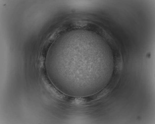 X0000112090758200908111352