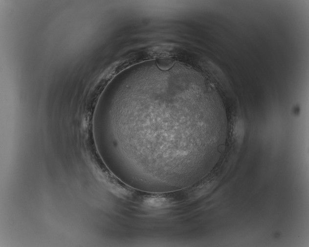 X0000112090759200908111352