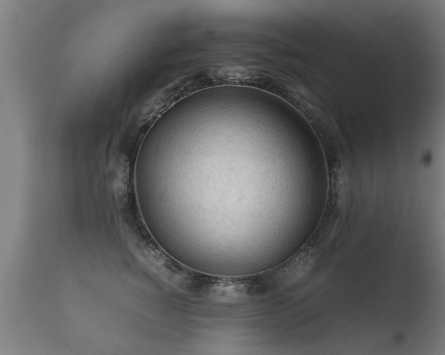 X0000112090760200908111353