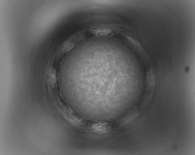 X0000112090761200908111353