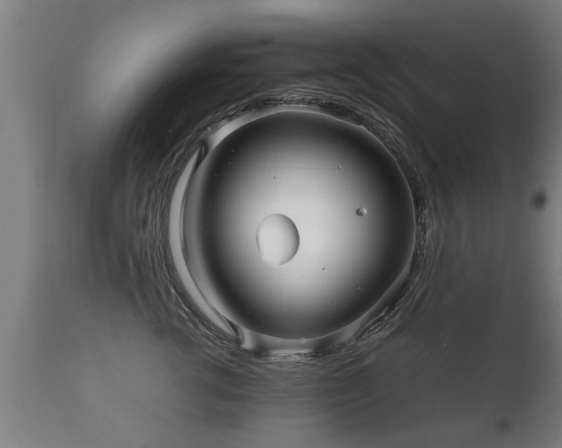 X0000112090762200908111353