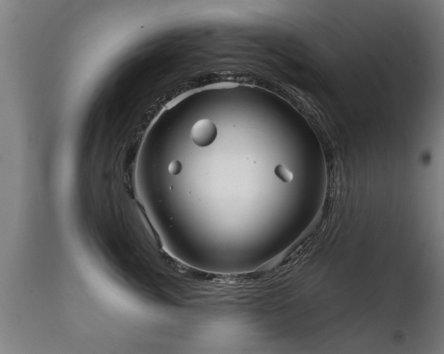 X0000112090764200908111353