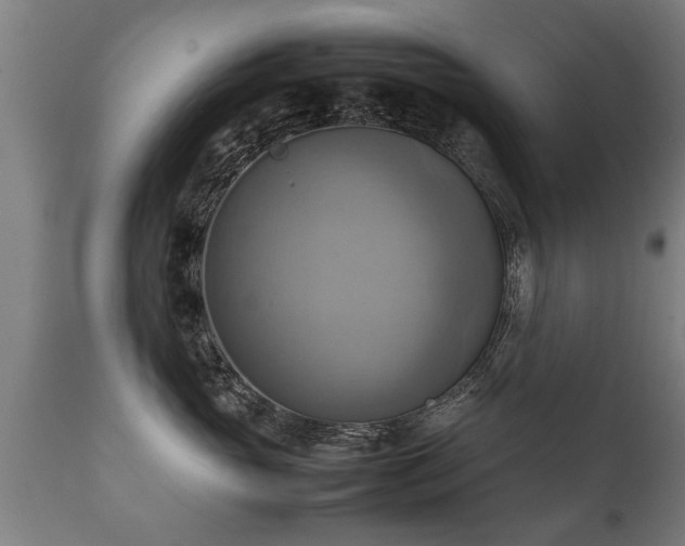 X0000112090765200908111353