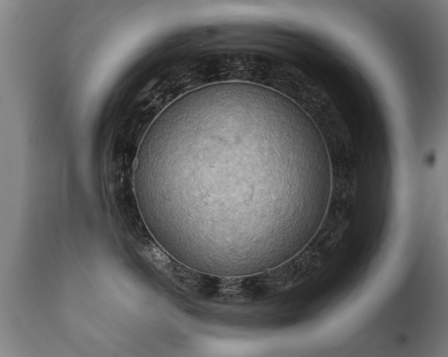 X0000112090766200908111353