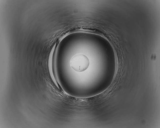 X0000112090768200908111353