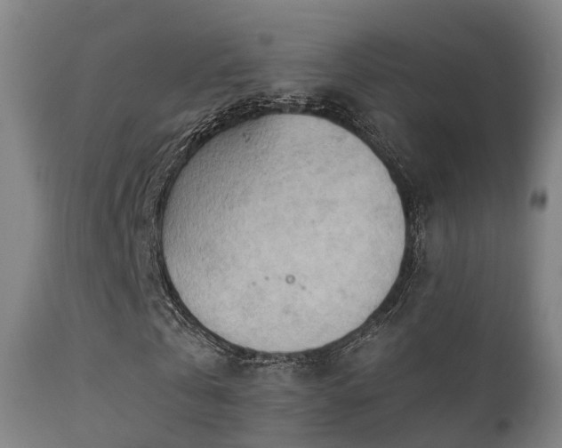 X0000112090769200908111352