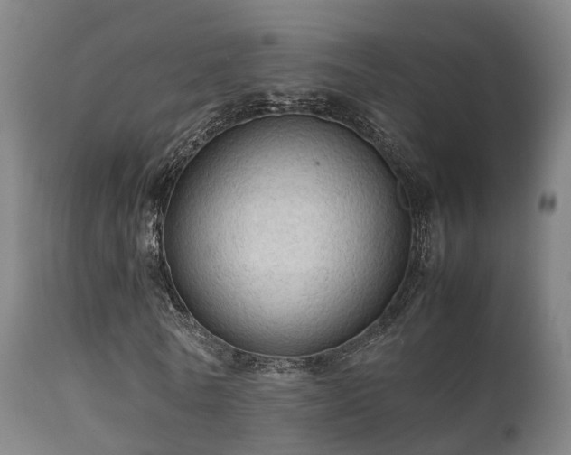 X0000112090770200908111352