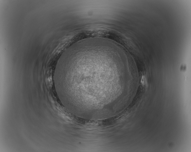 X0000112090771200908111352