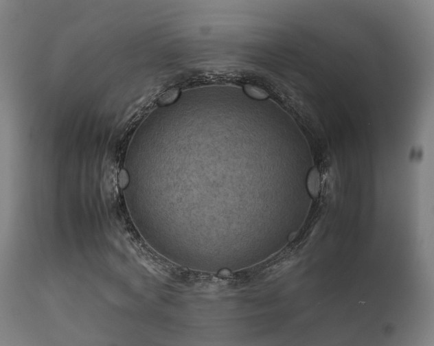 X0000112090772200908111352