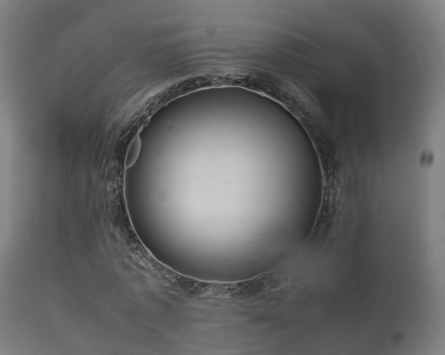 X0000112090773200908111352