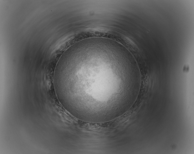 X0000112090774200908111352