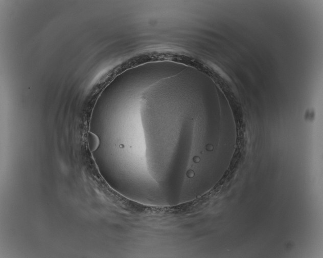 X0000112090775200908111352