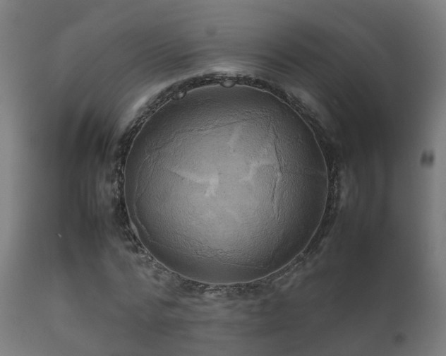 X0000112090776200908111352