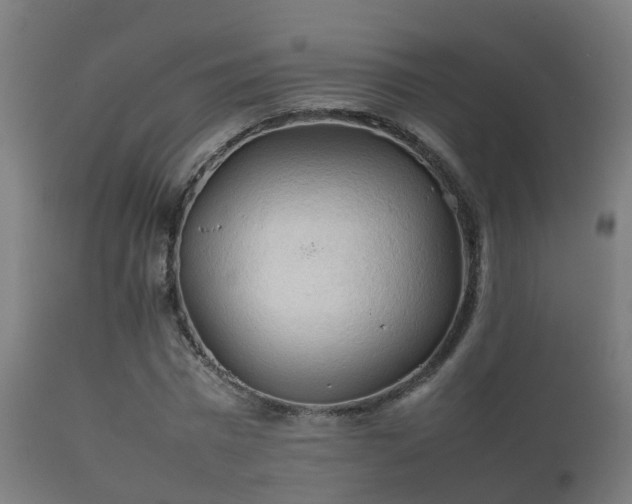 X0000112090777200908111352