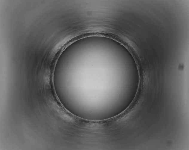 X0000112090778200908111352