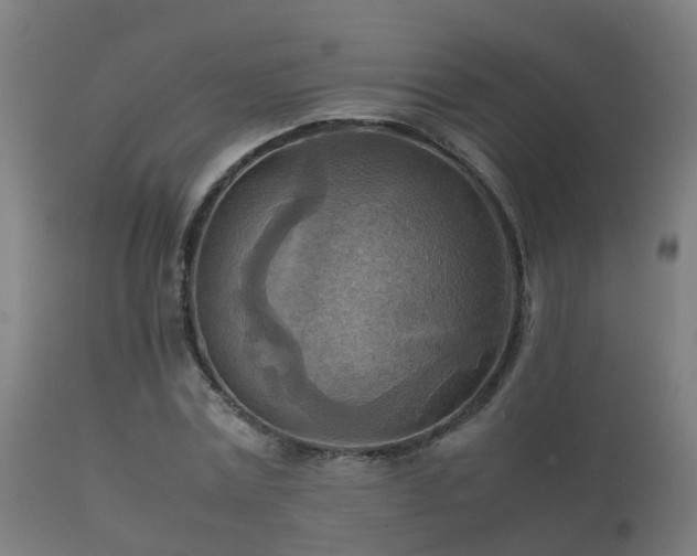 X0000112090779200908111352