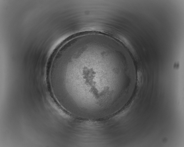 X0000112090780200908111352