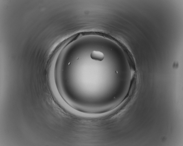 X0000112090781200908111352