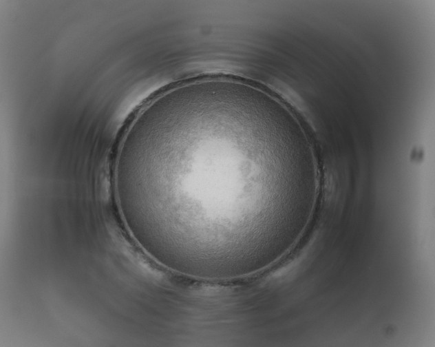 X0000112090782200908111352