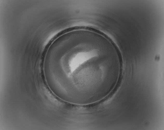 X0000112090783200908111352