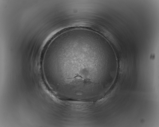 X0000112090784200908111352