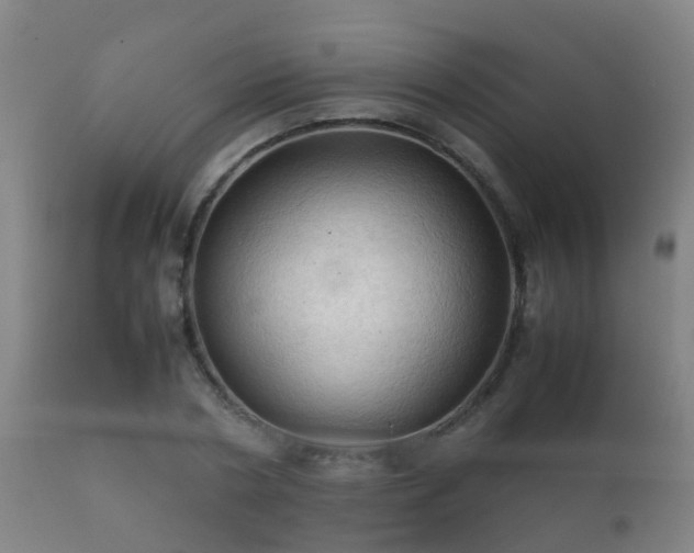 X0000112090786200908111352