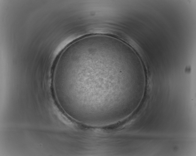 X0000112090787200908111352