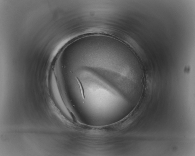 X0000112090788200908111352