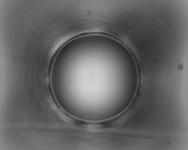 X0000112090789200908111352