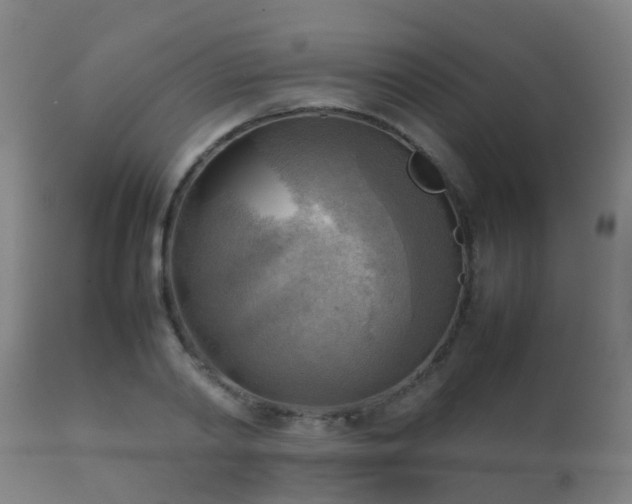 X0000112090790200908111352