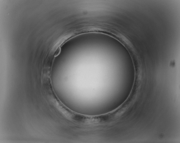 X0000112090793200908111352