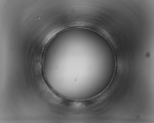 X0000112090794200908111352