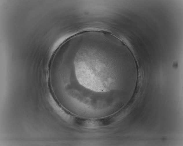 X0000112090795200908111352