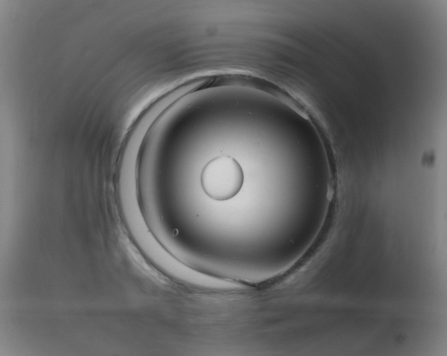 X0000112090797200908111352