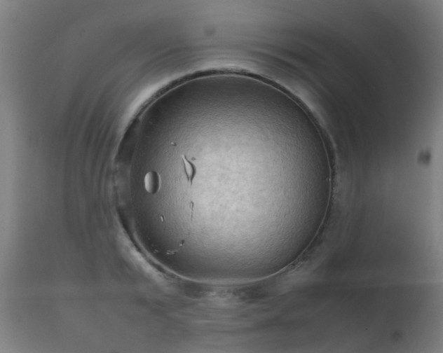 X0000112090799200908111352