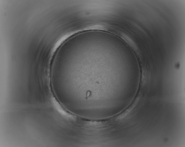 X0000112090800200908111351