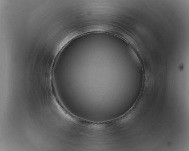 X0000112090802200908111351