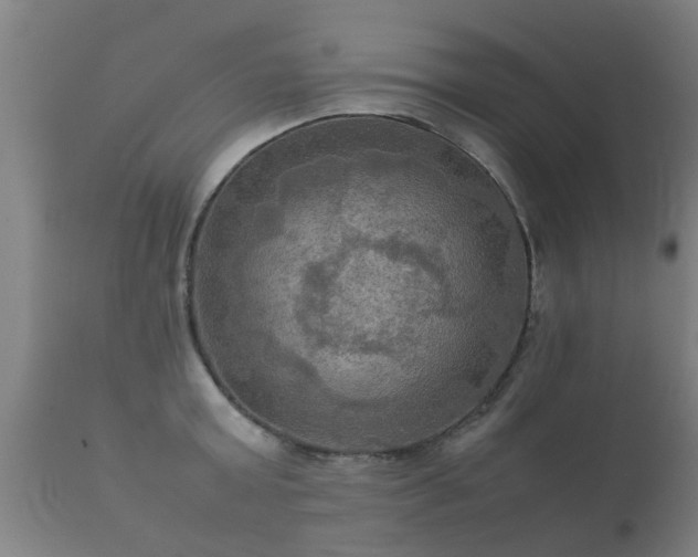 X0000112090803200908111351