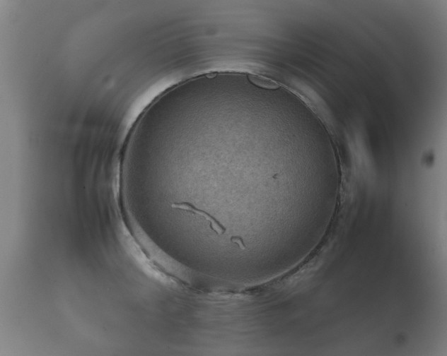 X0000112090804200908111351