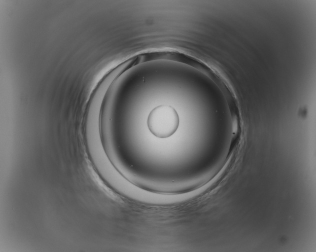 X0000112090805200908111351